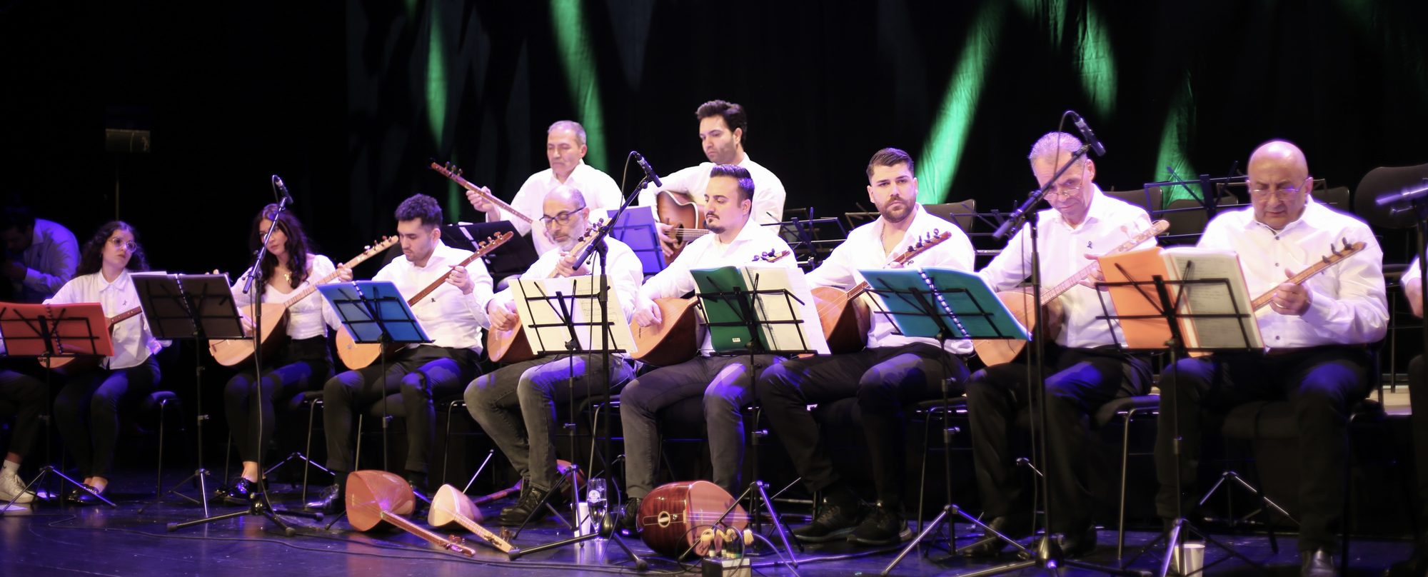 Großes Bağlama-Ensemble bei grünem und blauem Bühnenlicht, Aktionstag 2024